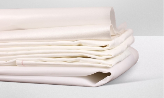 Plate And Frame Filter Press Filter Cloth Polyester Pp Monofilament Filter Cloth Fabric